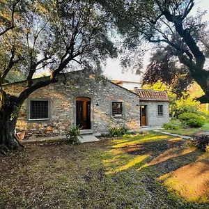 La Casina Di Susy , Seravezza Italia